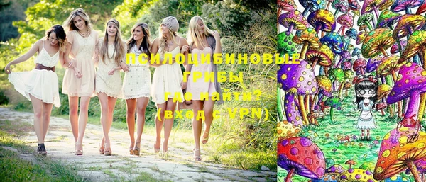 дмт Володарск
