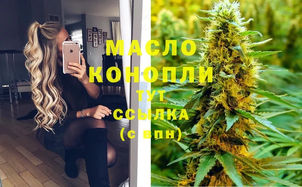 дмт Володарск