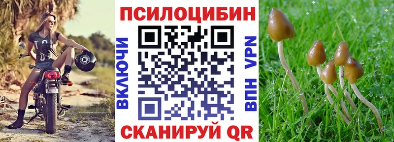 Псилоцибиновые грибы Psilocybe  Снежинск 