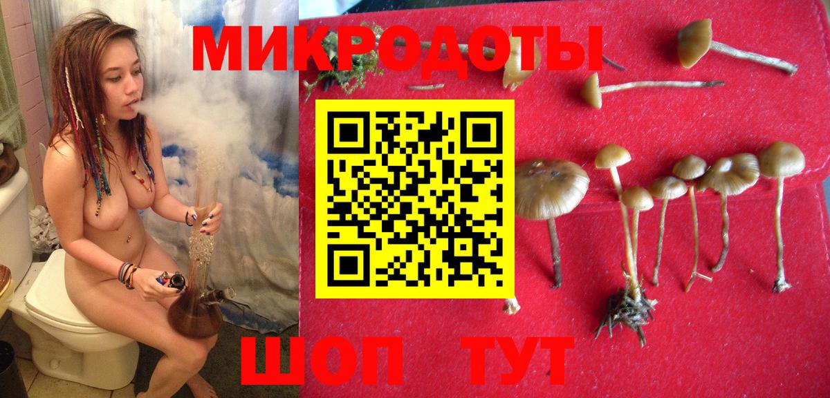 Снежинск  Галлюциногенные грибы мицелий  Вход с VPN 